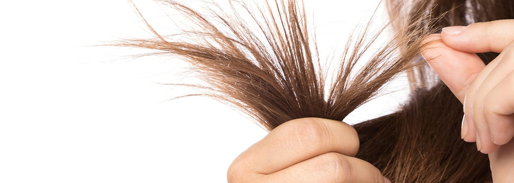 Damaged Hair: Hair Care Mistakes That Damage Your Hair